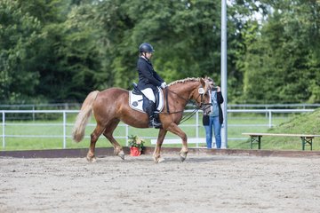 Bild 69 - Pony Akademie Turnier